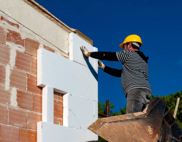 Best Local Insulation Services  in Paloma Creek, TX