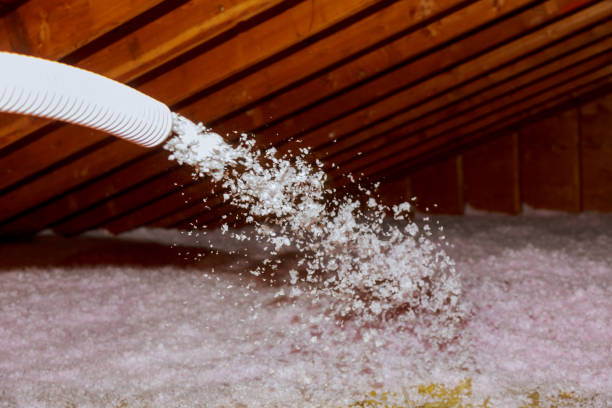 Best Insulation Contractors for Homes  in Paloma Creek, TX