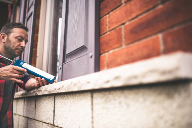 Best Local Insulation Services  in Paloma Creek, TX
