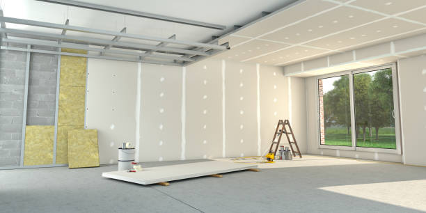Best Garage Insulation Installation  in Paloma Creek, TX