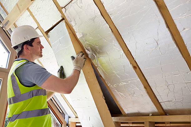 Best Spray Foam Insulation  in Paloma Creek, TX