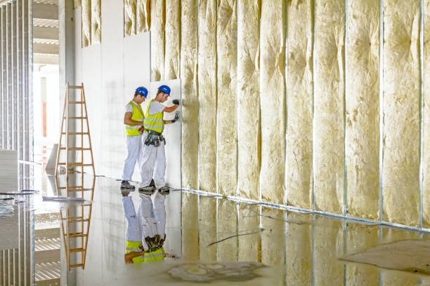Best Best Insulation Companies  in Paloma Creek, TX